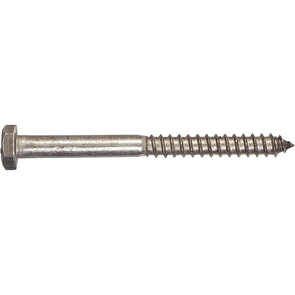 The Hillman Group 3651 1/4 By 3-Inch Lag Screw Stainless Steel, 5-Pack