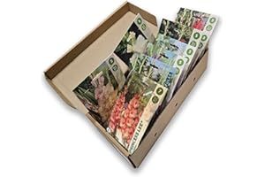NOJAUS SĖKLOS Nojus - Colección de bulbos de gladiolos - Conjunto de bulbos de flores perennes - Mezcla premium para flores de verano brillantes - Conjunto perennes orgánicos resistentes