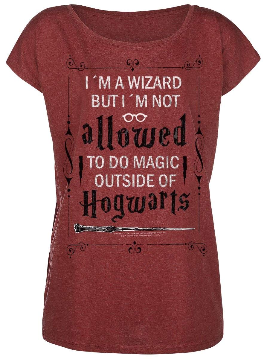 HARRY-POTTER-Allowed-T-Shirt-rot-meliert-XXL