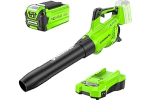 Greenworks 40V Soffiatore a Batteria, Velocità dell'aria 193 km/h, Volume d'aria 14,2 m³/min, Ugello Regolabile, Velocità Infinitamente Variabile (Con 2Ah Batteria e Caricabatterie)