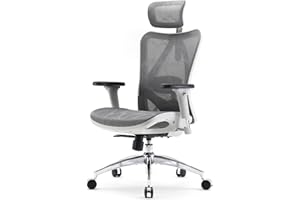 SIHOO con Morbido Supporto Lombare Sedia Ergonomica,Sedia Ergonomica in Traspirante Mesh,Sedie da Ufficio con Braccioli Regolabili 3D,Sedie Ufficio con Poggiatesta Regolabile(Grigio Chiaro)