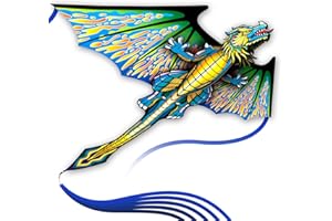 SGftre 3D Red Pterosaur Kite for Boys & Adults Easy to Fly,Beach Trip Outdoor Games Single Line String with Tail,Beach Kite for Family Outdoor Activities