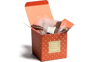 DOMORI Rooibos Natalizio all'Arancia e Spezie, Gusto Fruttato, Rooibos di Natale in Scatoletta Regalo, 25 Filtri, Tot. 50g, Dammann Frères