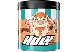 HOLY ENERGY HOLY Milkshake Caramel – 50 portions avec vitamines B, C et D et arômes 100% naturels – sans sucre, sans caféine et vegan – poudre pour milkshake hypocalorique au goût caramel