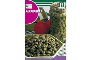ROCALBA Semillas de Alcaparras