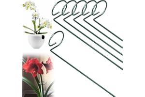 CUNQN Plant Support Stakes Metal Support Stake Plant Cage Support Ring Garden Stakes Single Stem Plant Stick Support 40cm for Tomatoes Peony Lily Rose Flowers Amaryllis 6PCS