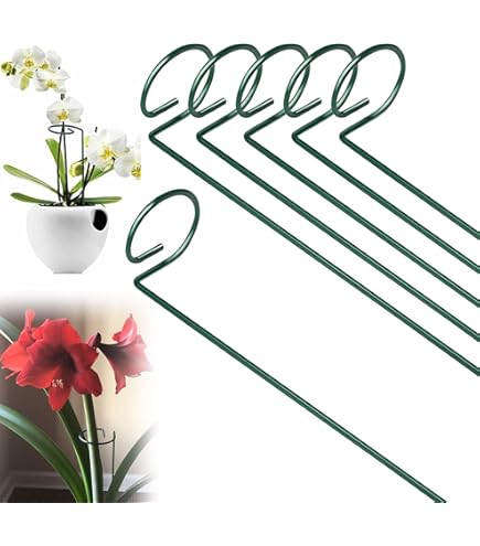 Lot De 4 Tuteurs Pour Plantes Support De Plantes De Grimpantes Anneau