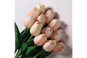Anaoo 12pcs Tulipani artificiali in lattice, bouquet di fiori artificiali da sposa per la casa, matrimoni, feste, decorazioni per ufficio, composizioni floreali,
