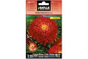 Semillas Batlle Regina Marg. Margaret Rosso