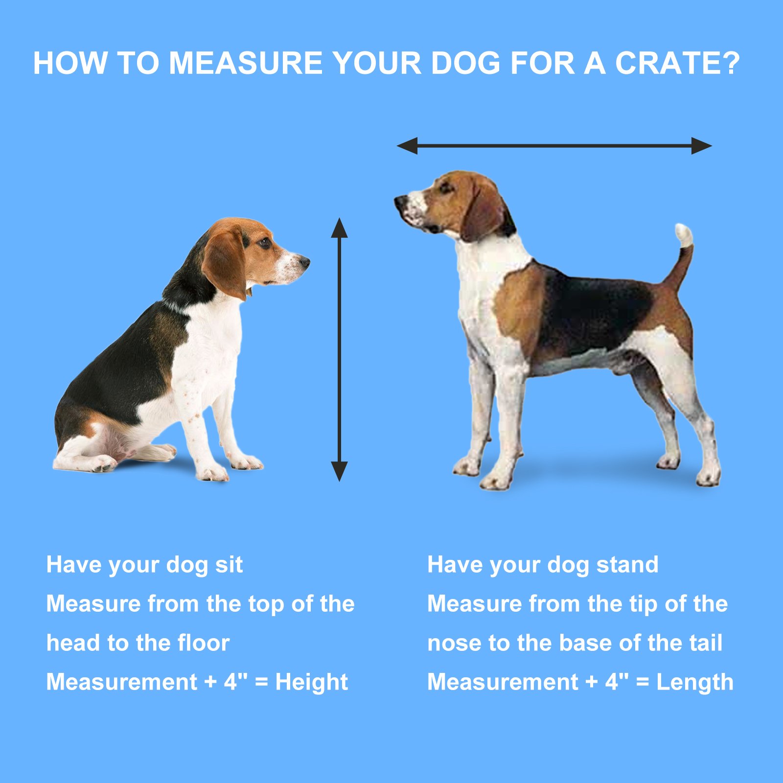 feandrea dog carrier