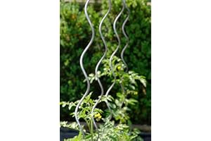 giordano shop Set 10 Sostegni Tutori a Spirale per Piante Pomodori 180 cm in Acciaio Agrati