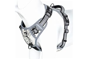 WALDSEEMÜLLER Harnais Chien Anti Traction, Réfléchissant Harnais De Chien Réglable Décourager Tirer Pet Gilet Durable en Nylon Harnais pour Chiens Moyen et Grand