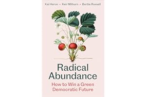 Radical Abundance: How to Win a Green Democratic Future