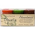 Coventry Creations Blessing Kit - Abundance