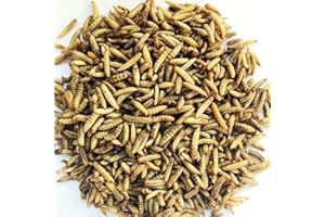 SUPERPET LTD Superpet Dried Calciworms – High-Calcium Protein Treats for Birds, Fish, Reptiles & More, Similar to Mealworms (5Kg Approx 25L)