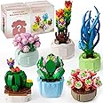 Excefore Succulents Bonsai Building Kit, Succulents Blind Box Series, Artificial Flower Botanical Collection, Plant Decor Building Set for Kids Adults Home Office, Random 2 Boxes