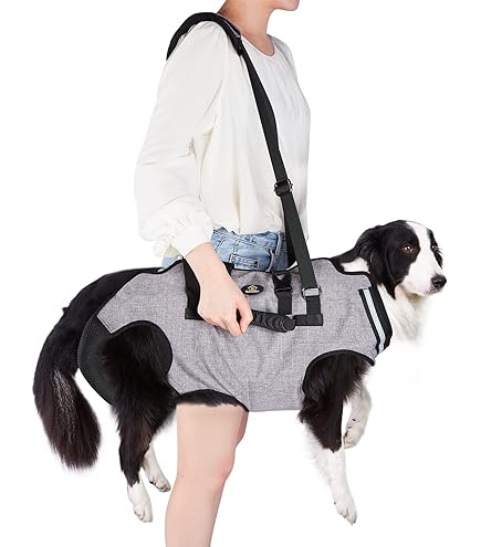 Hunde Tragetuch BT Bear - Trageschlinge Für ältere Hunde Mit Verletzungen