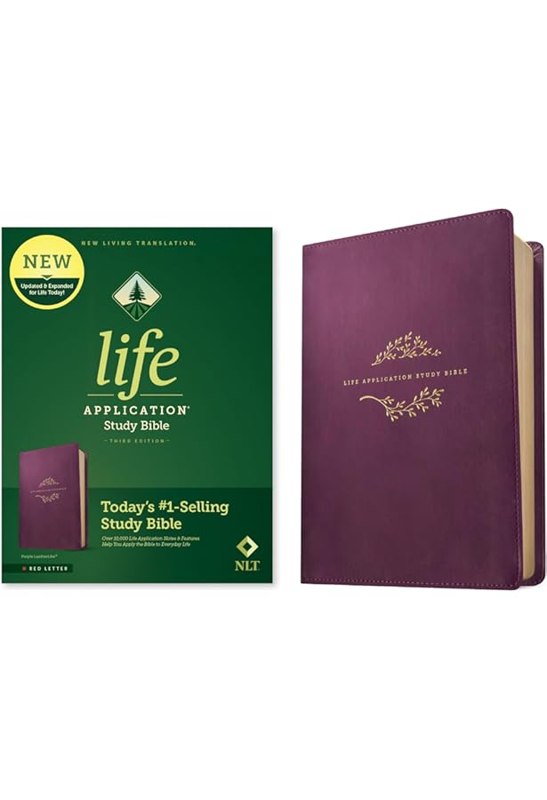 Student Life Application Study Bible　NLT Life Application Study Bible NLT, Personal Size: Tyndale