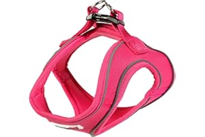Doodlebone Snappy Harness, Fuchsia, 2