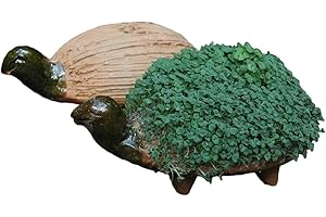 Tumia LAC Haz que tu propia tortuga florezca (incluye semillas de rizo). Comercio justo. Hecho a mano en México. Tortuga.