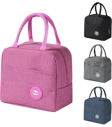 Borsa Termica per Il Pranzo, Piccolo Pacchetto Freddo a Lunga Durata