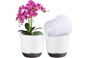 QCQHDU Lot de 2 pots à orchidée avec trous pour rempotage double couche et auto-irrigation avec bonne circulation de l'air (blanc, 14,5 cm)