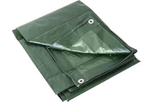 Labor 0300152 TELONE OCCHIELLATO GR.100 Verde, 4x5 m