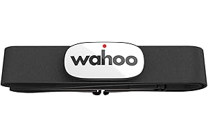 Wahoo Fitness ELEMNT ROAM