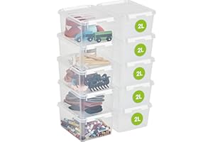 SmartStore Scatole portaoggetti in plastica 2L con coperchi - Set di 10Impilabili e sovrapponibili - Garanzia di 10 anni - Sicure per alimenti - Chiusura con clip - L21 x P17 x A11cm