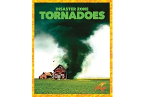 Tornadoes (Disaster Zone)