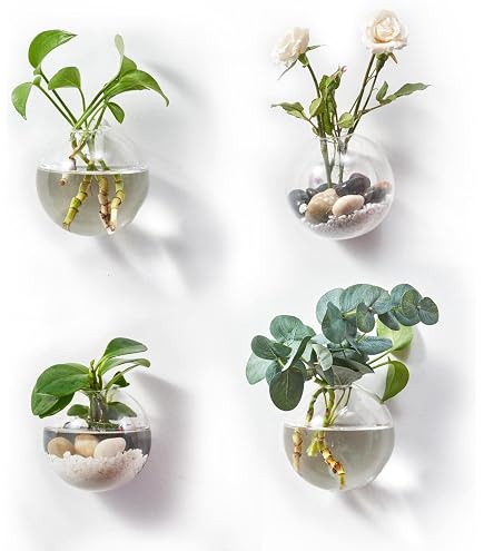 Jardinières Suspendues Verre 6x Sphère - Terrarium Déco - Pierres Colorées Incluses