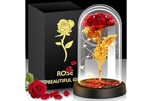 Gylinm Ewige Rose Geschenke für Frauen, Ewige Rose im Glas Überraschung für Mama, Die Schöne das Biest Ewige Rosen,Hochzeitstag Überraschung für Frauen,Geschenk für Muttertag/Valentinstag & Geburtstag