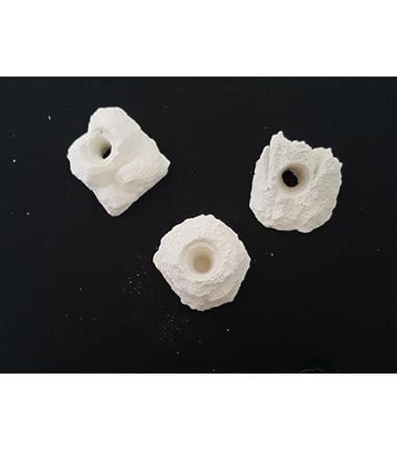 AF Rocce Per Frags Corallo 24 Pezzi | Rocce Leggere Per Aquascaping E Fragging | Diametro 45mm - Foto 3