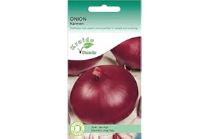 KRAIDO SEEDS Red Onion Seeds for Planting UK - Karmen - 500 Seeds
