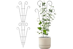 WENROU 3 pezzi traliccio per piante rampicanti e piante in vaso - gabbia per piante, accessori da giardino, supporto per piante antiruggine vaso da arrampicata per viti