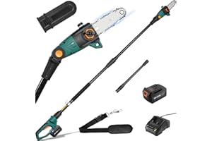 TLGREEN Potatore Telescopico, Sega Potatrice Elettrica, Sega ad Asta a Batteria, Batteria 20V 4Ah e Caricabatterie, Lama 20cm, Velocità Catena 5 m/s, Auto-Lubrificante, Testa Inclinabile, incl. Tracolla, 4 M