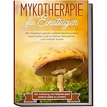Therapie mit Heilpilzen - Bio Top Zürich