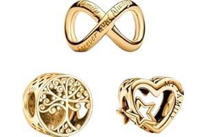 YUMINN Gold Charms 925 Sterling Silber für Armbänder Herz Stopper Charm Schmuck Geschenke für Damen