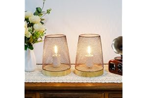 JHY DESIGN Lampy stołowe, tkanina metalowa, zasilanie bateryjne, 2 sztuki w zestawie, 20 cm wysokości, z 6-godzinnym timerem, na stół, na balkon, do sypialni, wewnątrz salonu, (wazon, drewniana