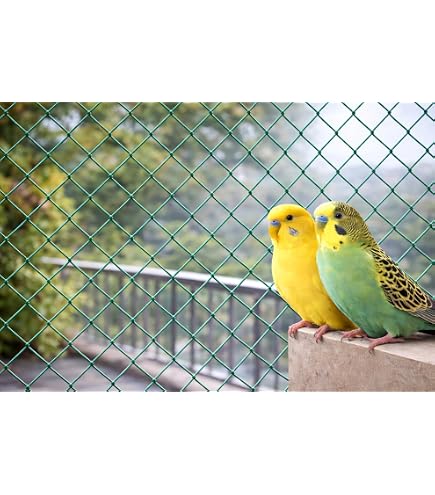 ネット　６ｍ×５ｍ A to Z Anti Bird Net Nylon for Balcony (6' x 8' Foot - Blue Color