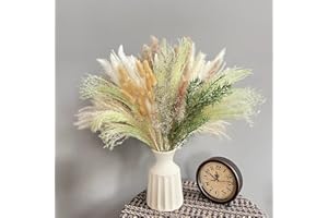 ‎N&T NIETING N&T NIETING 85 Stück Pampasgras Deko – 20 Grüne Pampasgras, 30 braune und Weiße Pompas, 20 Schilfgras, 10 Hasenschwanzgras, 4 Valentinsgräser, 1 Grüne Pflanzen, Hochzeiten Zuhause Boho Deko