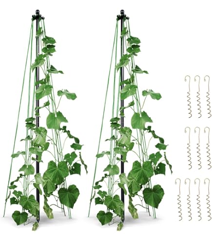 bellissa - MAINAU Dahliensttze - Pflanz- & Rankstab aus Metall (3,2 x 0,6  x 100 cm) - Garten Rankhilfe & Steckstab fr Kletterpflanzen & Blumen -  feuerverzinkter Stahl - Made in Germany : Amazon.de: Kche, Haushalt &  Wohnen