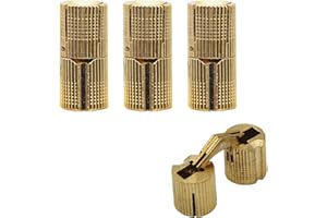 aufodara 4 pezzi Cerniera Invisibile in Ottone 8mm, Cilindrica Cerniera a Barile Angolo d'apertura 180 Gradi per DIY Fatto Mano Portagioie e Mobilia Porta di legno (Ø 8 mm)