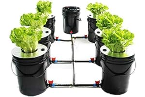 Futchoy Kit de culture hydroponique 20L x 7 - Système de culture hydroponique DWC pour la maison et l'intérieur - Système de culture hydroponique - Outil de jardinage
