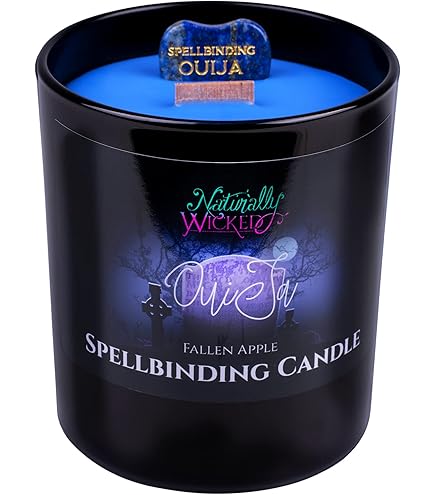 Naturally Wicked Spellbindende Vengeance kaars | Crystal Spell Candle | Geurend met Satan's Spice | Inc Unieke kaars geschenkdoos