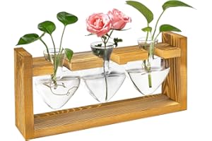 ELIPHONTOWNE Glass Plant Propagation Station - Heart Shaped Vase with Vintage Wooden Stand, Hydroponics Plants Propagation Glass Terrarium for Desk Decor 0717
