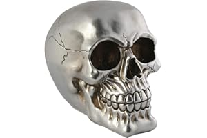 MIK funshopping Hucha con diseño de calavera, color plateado mate