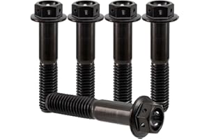 RISON-Titanium Bulloni in Titanio con Flangia M6x1.0x25mm, Vite Titanio Testa Esagonale Flangia Forato, Viti Esagonali Flangiate in Titanio GR5 Vite di Fissaggio, Confezione da 5