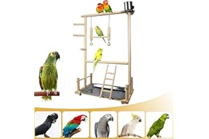 CHSEEO Parco Giochi per pappagalli in Legno, trespolo per pappagalli, Supporto per Pappagallo con Mangiatoie per Uccelli per Piccoli e Medio uccelli Parrocchetti, Grande 36 x 23 x 57 CM