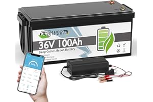 TCBWORTH Bateria Litio 36V 100Ah Bluetooth Batería LiFePO4, 15000+ Ciclo Profundo, Protección contra Bajas Temperaturas, para Carrito de Golf, Barco, Camping
